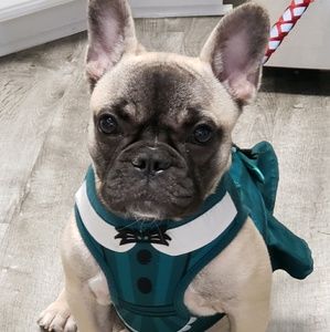 Meet your Posher, Tina